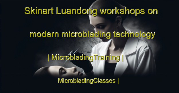 Skinart Luandong workshops on modern microblading technology | MicrobladingTraining | MicrobladingClasses | SkinartTraining-China